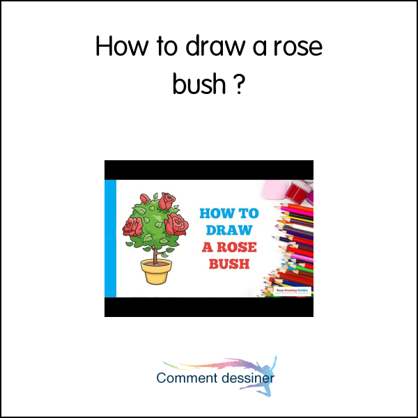 How to draw a rose bush